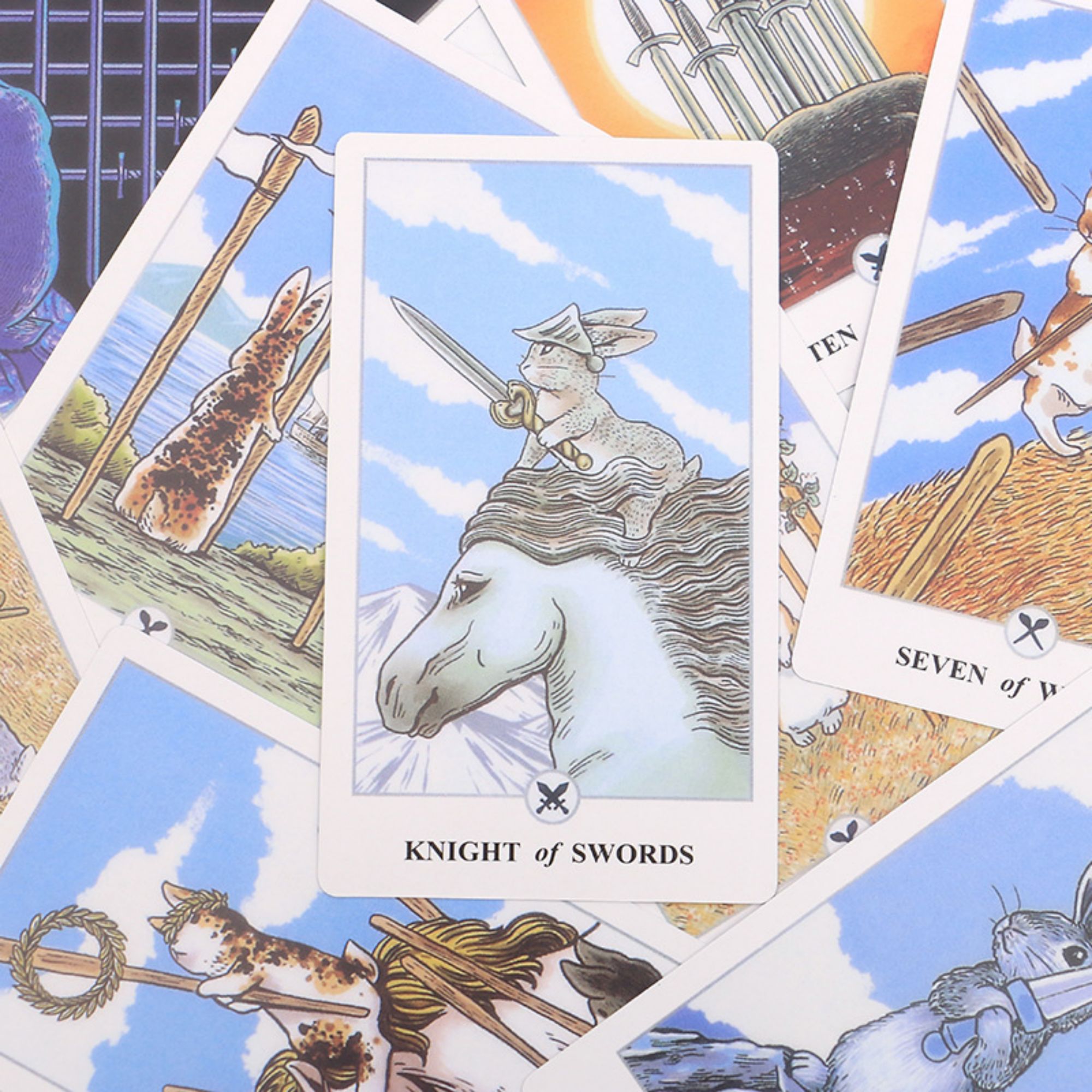 Tarot inglês completo 12*7 cm  - Tarot Deck With Guidebook avaliação e preço